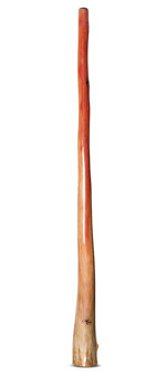 Tristan O'Meara Didgeridoo (TM365)